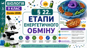 Етапи енергетичного обміну. Презентація, інфографіка, робочий аркуш