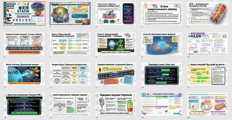 09029ire-41a6-924x478.png