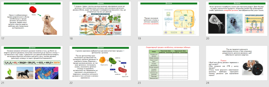 09029j14-e92f-940x304.png