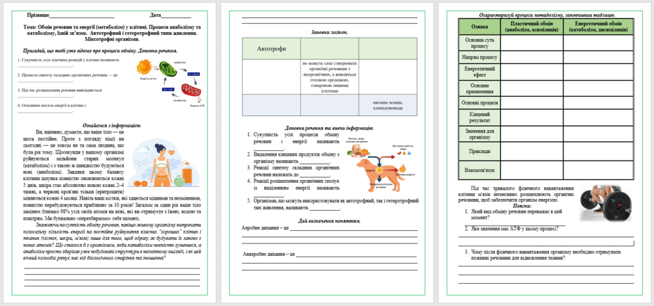 09029j17-778d-940x440.png