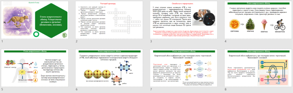 09029j1m-184c-940x301.png