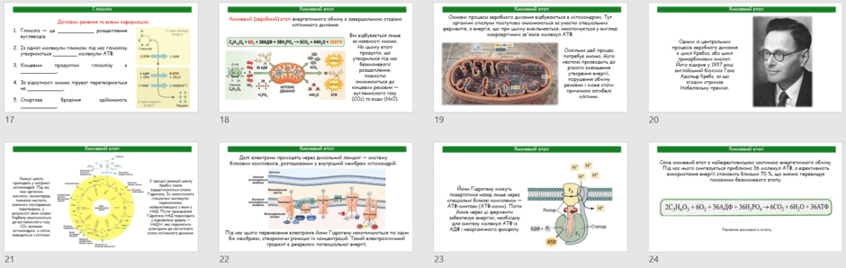 09029j1p-86d4-940x298.png
