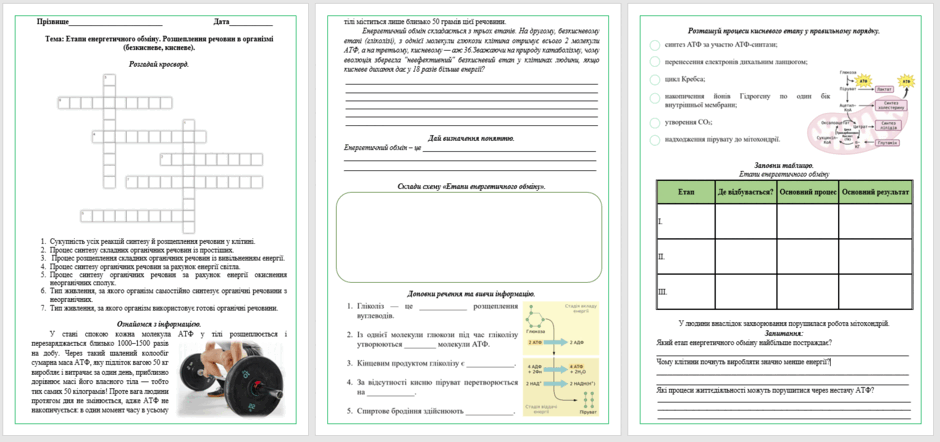 09029j1t-e85c-940x442.png