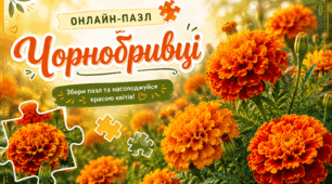 Пазл 🧩 «Чорнобривці»