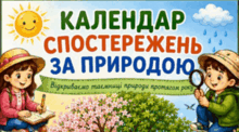  КАЛЕНДАР. Комплект "Рік спостережень за природою"