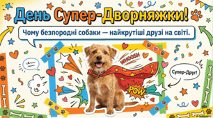 День безпородної собаки. День Супер-Дворняжки