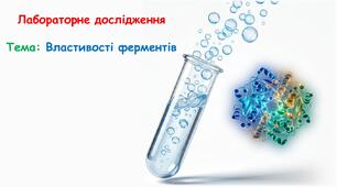 Презентація: Лабораторне дослідження «Властивості ферментів». 9 клас НУШ