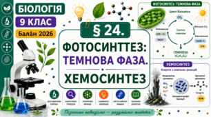 Фотосинтез: темнова фаза. Хемосинтез. Презентація, інфографіка, робочий аркуш