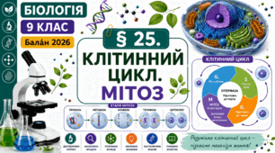 Клітинний цикл. Мітоз. Презентація, інфографіка, робочий аркуш