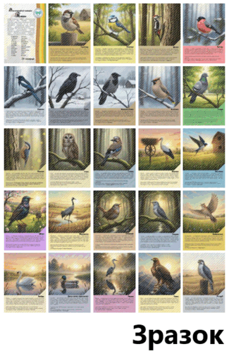 09029lpi-32a7-325x505.png