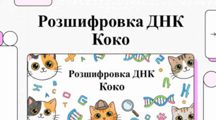 Генетичний паспорт кота: породи, здоров’я та походження