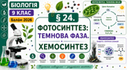 Фотосинтез: темнова фаза. Хемосинтез. Презентація, інфографіка, робочий аркуш