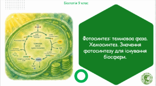 Презентація, конспект уроку та робочі аркуші на тему ": Фотосинтез: темновоа фаза. Хемосинтез. Значення фотосинтезу для існування біосфери". 9 клас НУШ