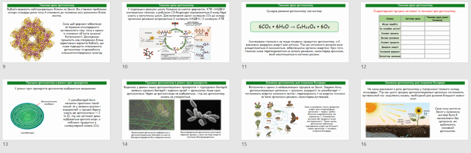 09029mdo-b3ef-940x306.png