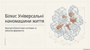 Урок біології у 9 класі НУШ "Білки: функції в біологічних системах. Ферменти: їхня роль у клітині" (за П. Г. Баланом)
