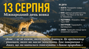 13 серпня - Міжнародний день вовка
