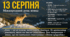 13 серпня - Міжнародний день вовка