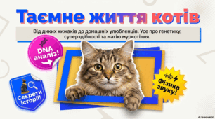 8 серпня - Всесвітній день кішок