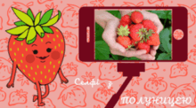 ПОЛУНИЧНИЙ день