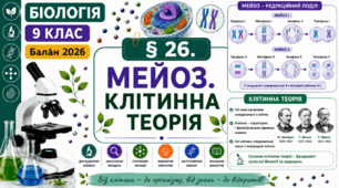Мейоз. Клітинна теорія. Презентація, інфографіка, робочий аркуш