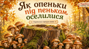 📖Ілюстрована книга «Як опеньки під пеньком оселилися» (українська народна казка)