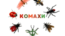 КОМАХИ 