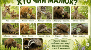 Хто чий малюк