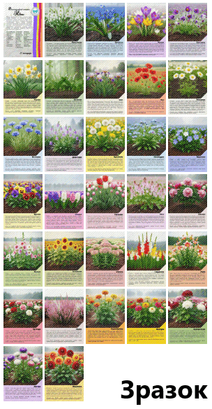 09029oyk-962a-304x585.png