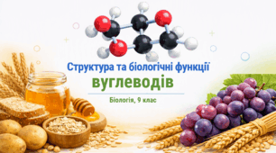 Презентація для 9 клас уроку біології "Структура та біологічні функції вуглеводів" (за підр. Самойлова, Тагліної до параграфу 5)