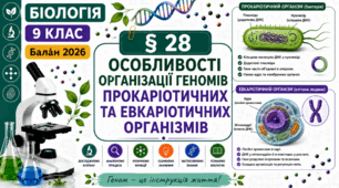 Особливості організації геномів прокаріотичних та еукаріотичних організмів. Презентація, інфографіка, робочий аркуш