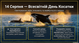 14 серпня - Всесвітній день косатки