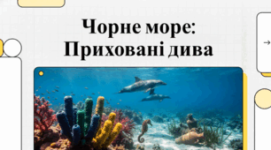 Екологічний стан та біологічне різноманіття Чорного моря