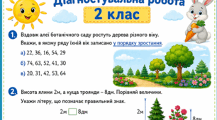 2 клас Діагностувальна робота "Додавання і віднімання в межах 100"