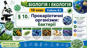 Прокаріотичні організми: бактерії. Презентація, інфографіка, робочий аркуш