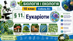 Еукаріоти. Презентація, інфографіка, робочий аркуш