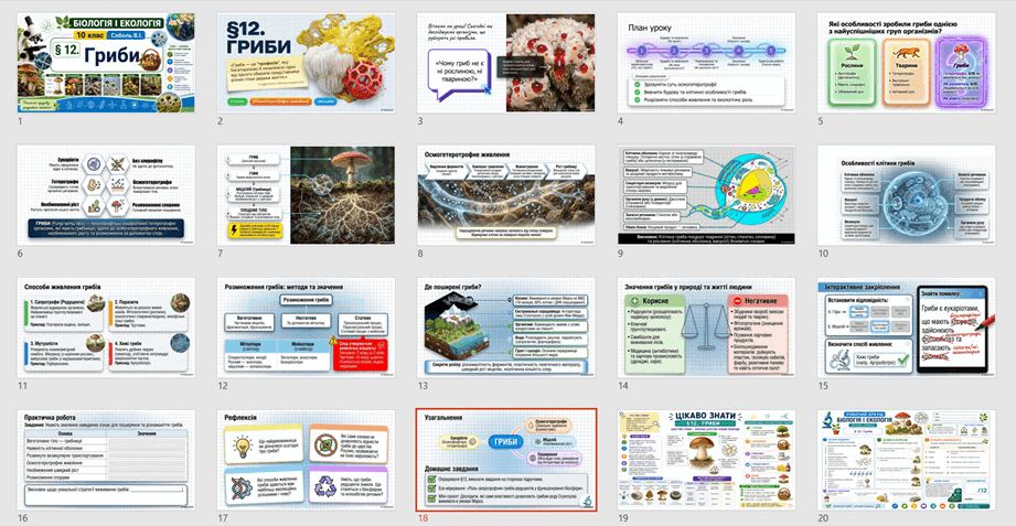 09029slm-3989-921x477.png