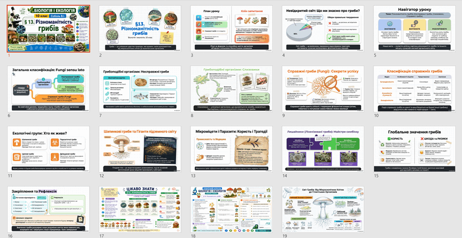09029slz-cc50-939x485.png