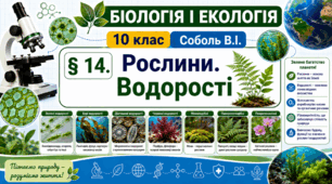 Рослини. Водорості. Презентація, інфографіка, робочий аркуш