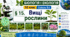 Вищі рослини. Презентація, інфографіка, робочий аркуш