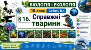 Справжні тварини. Презентація, інфографіка, робочий аркуш