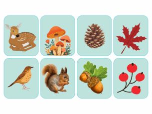 09029t7f-48a6-305x229.png
