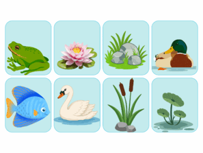 09029t7i-55e8-297x223.png