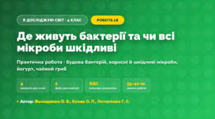 Практична робота «Де живуть бактерії та чи всі мікроби шкідливі» (4 клас, Я досліджую світ, Волощенко О. В., Козак О. П., Остапенко Г. С.)