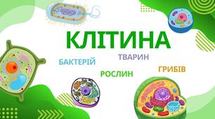 Ілюстративний матеріал до теми "Клітина"