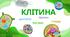 Ілюстративний матеріал до теми "Клітина"
