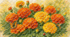 🌼🧡Розмальовка 🧡🌼«Чорнобривці — ніжність рідного дому»🧡🌼