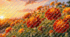 🌼🧡🌼Розмальовка 🌼«Чорнобривці —  мамині квіти»🧡🌼🧡🌼🧡🌼