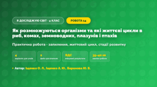 Практична робота «Як розмножуються організми та які життєві цикли в риб, комах, земноводних, плазунів і птахів» (4 клас, Я досліджую світ, Іщенко О. Л., Іщенко А. Ю., Баранова Ю. Б.)