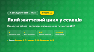 Практична робота «Який життєвий цикл у ссавців» (4 клас, Я досліджую світ, Іщенко О. Л., Іщенко А. Ю., Баранова Ю. Б.)