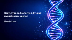 Презентація для 9 клас уроку біології "Структура та біологічні функції нуклеїнових кислот" (за підр. Самойлова, Тагліної до параграфу 8)